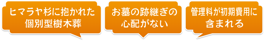 ヒマラヤ杉に抱かれた個別型樹木葬!お墓の跡継ぎの心配がない!管理料が初期費用に含まれる!