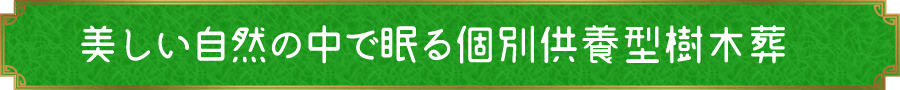 美しい自然の中で眠る個別供養型樹木葬